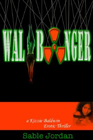 [Kizzie Baldwin Erotic Thriller 02] • Wallbanger